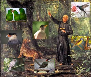 ANCHIETA-NA-NATUREZA